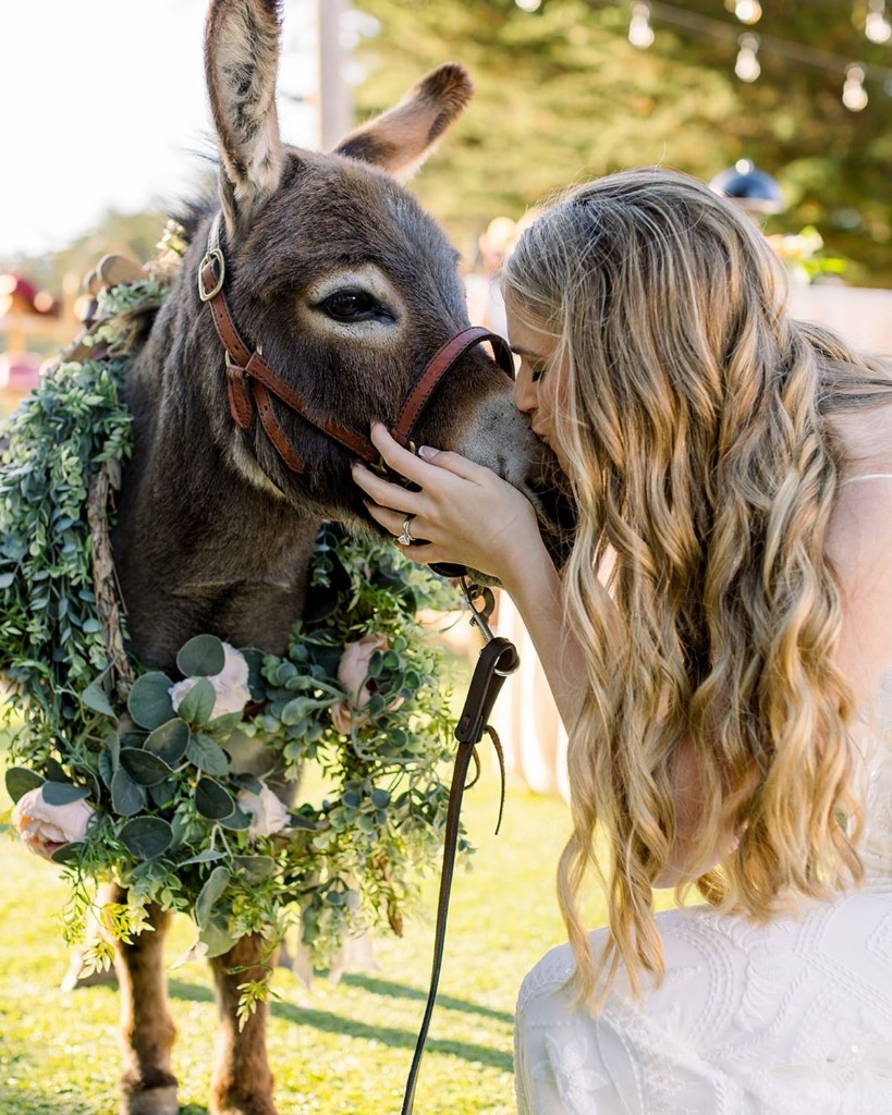 A mini donkey wearing a floral garland at an outdoor event